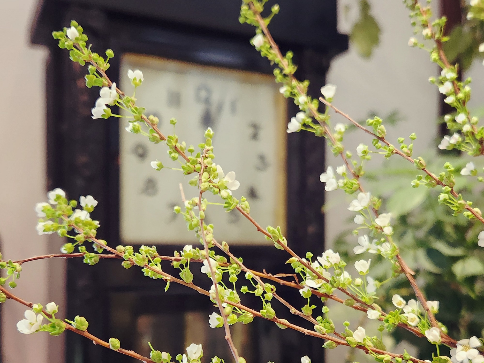 営業時間変更のお知らせ10時開店18時閉店となります